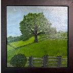 Lone Tree On Parkway